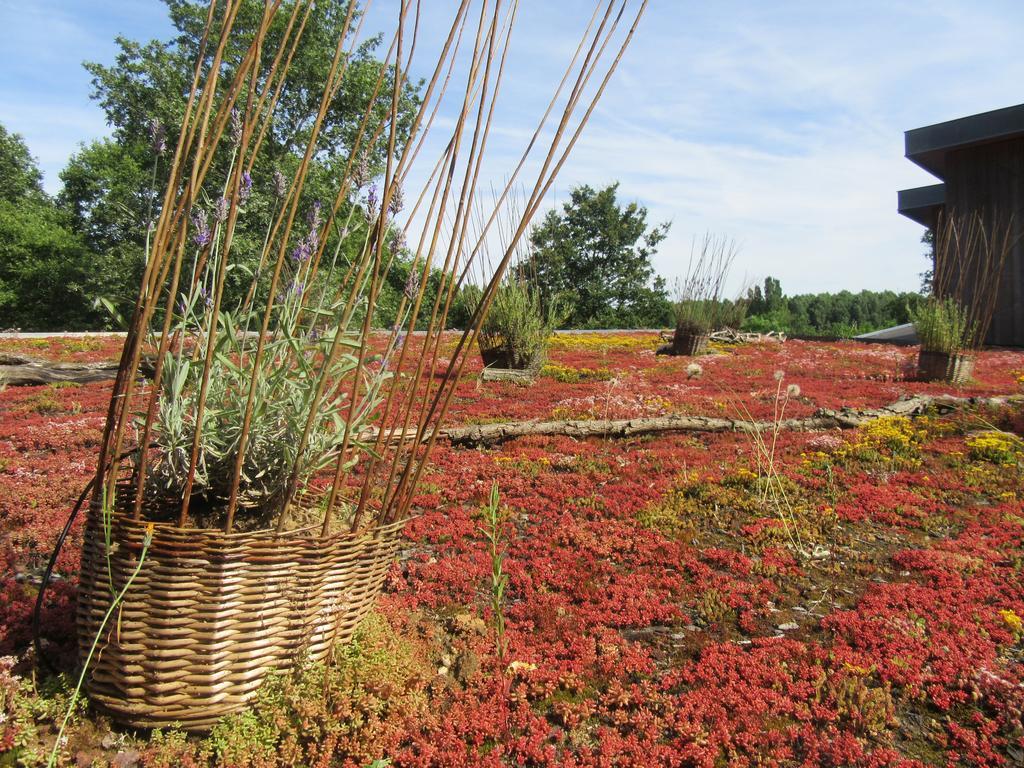 D'Une Autre Nature Mesland Exterior foto